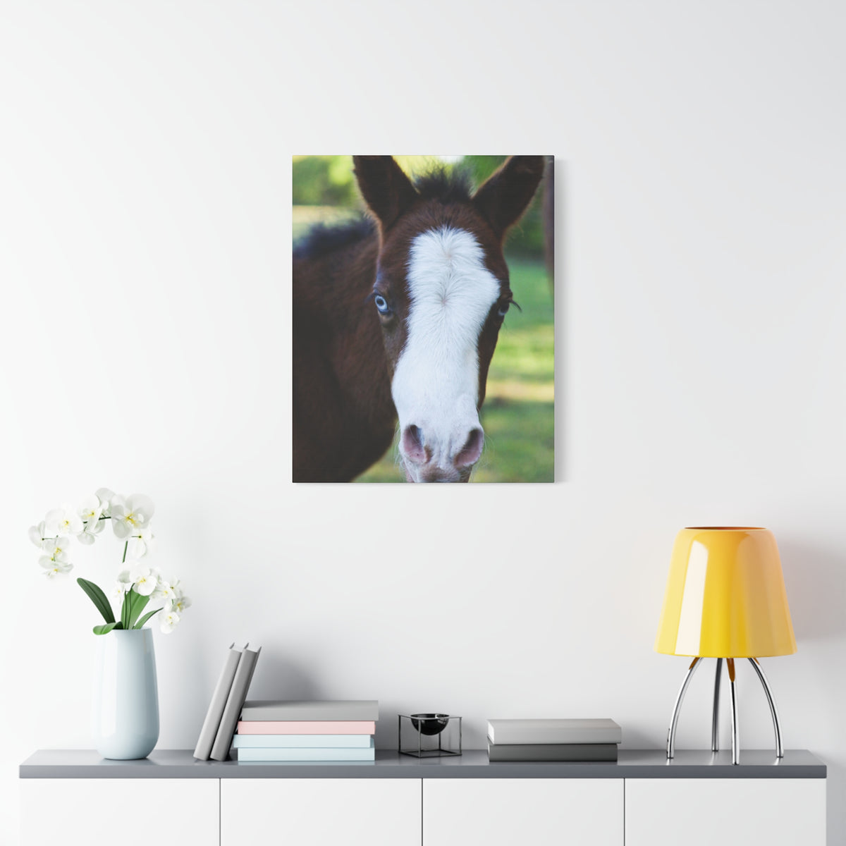 Foal Portrait Canvas Print