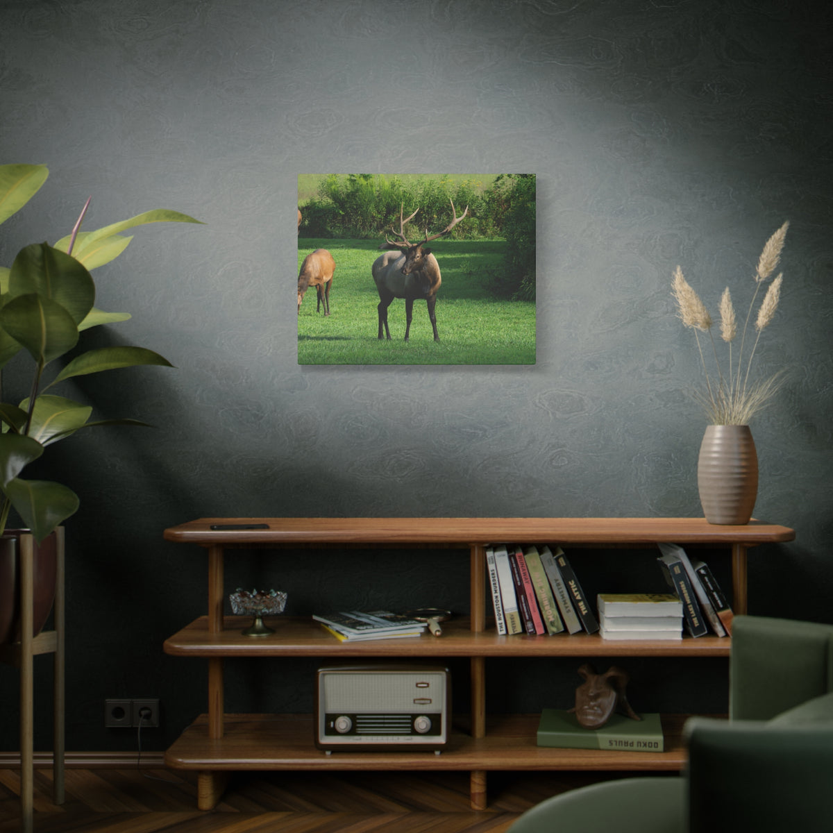 Elk in Meadow Canvas Wall Art — Stretched Matte Nature Print