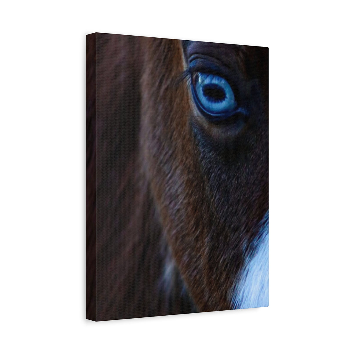 Blue-Eyed Horse Canvas Print — Close-Up Equine Wall Art, Matte Stretched 1.25"