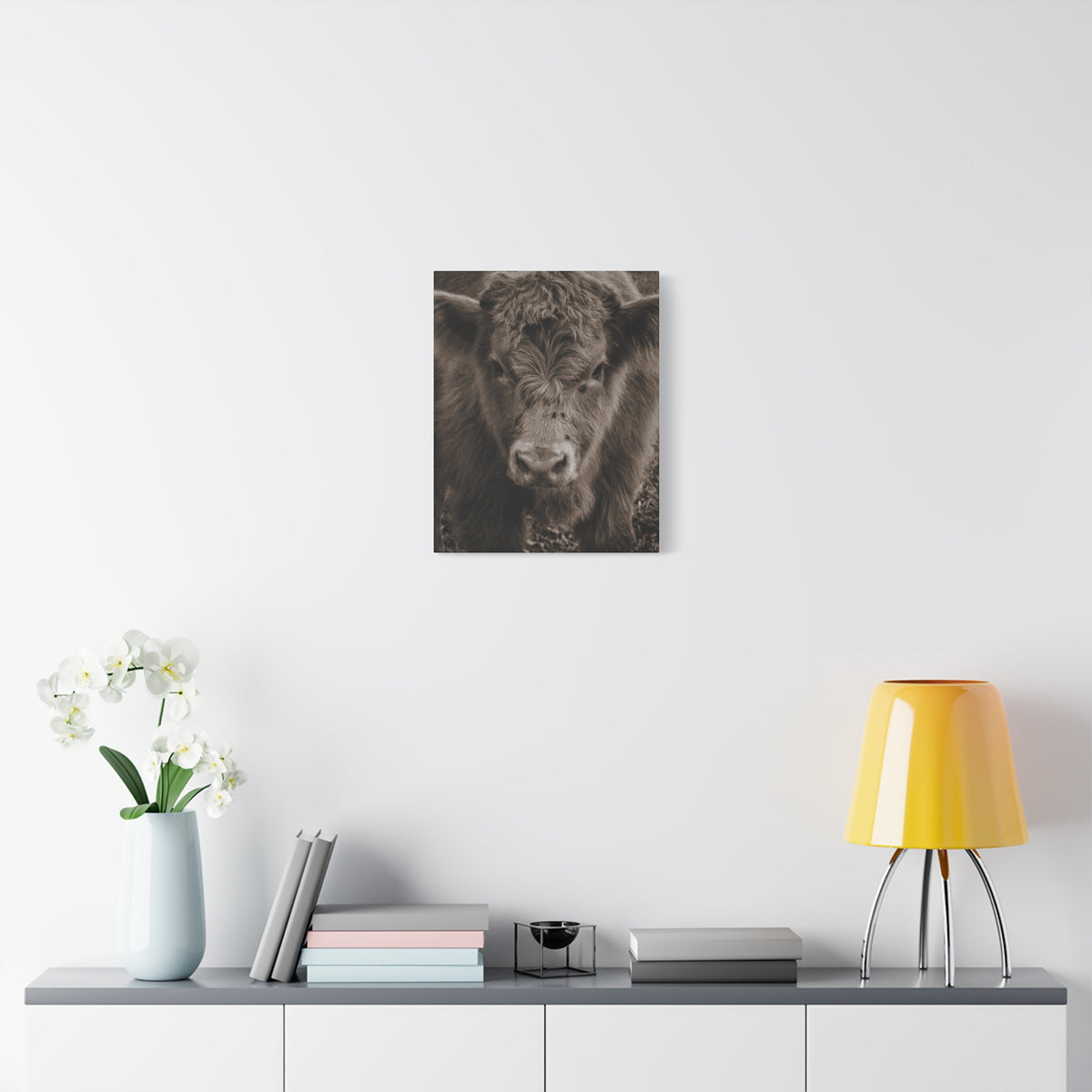 Rustic Highland Cow Portrait Canvas