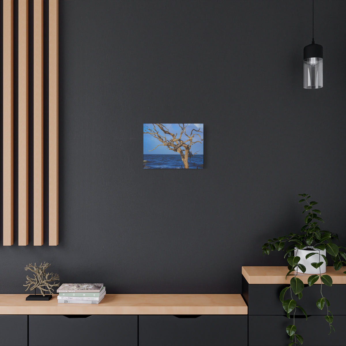 Driftwood Tree Beach Canvas Wall Art — Coastal Ocean Photography