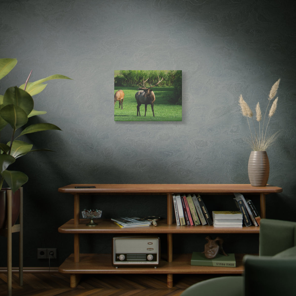 Elk in Meadow Canvas Wall Art — Stretched Matte Nature Print