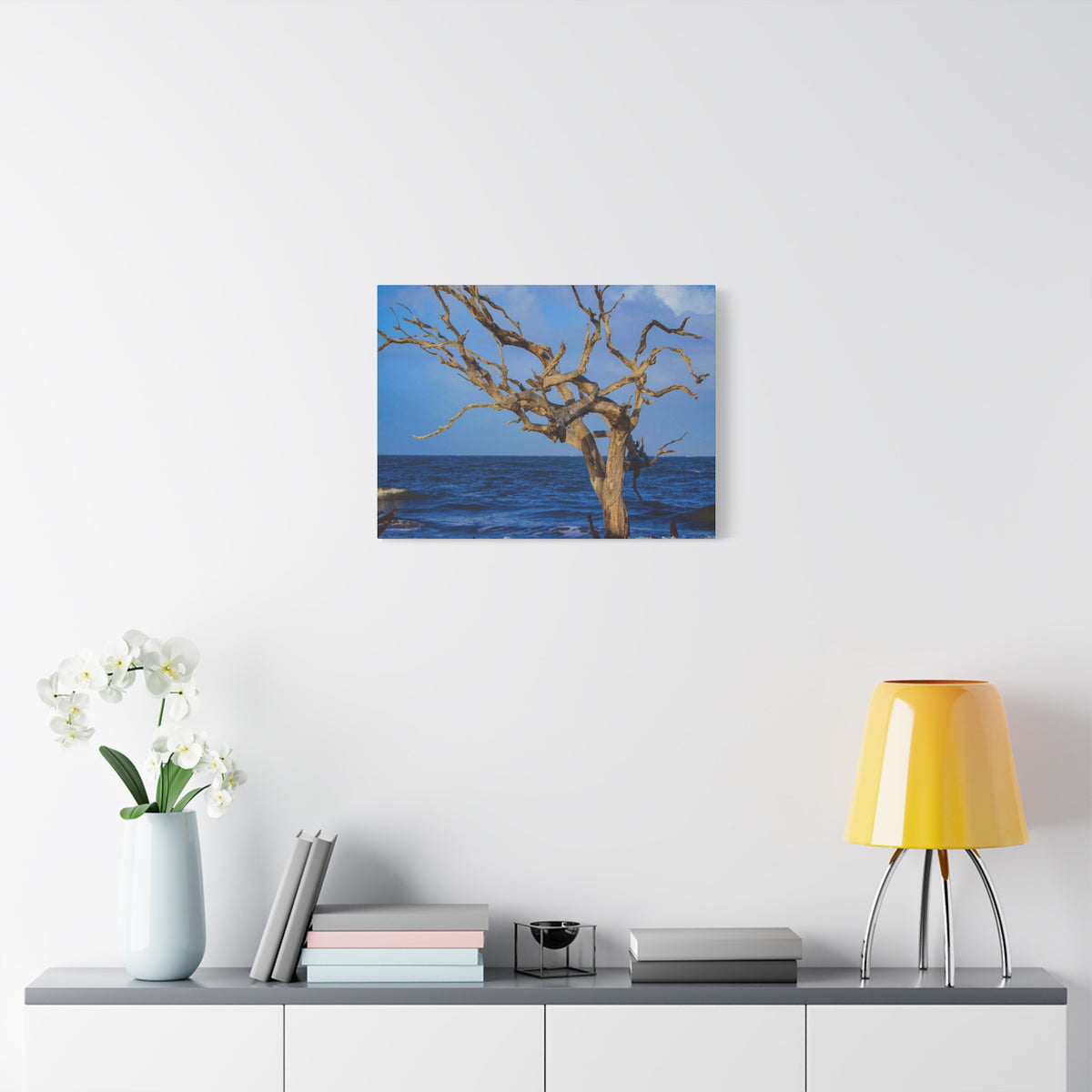 Driftwood Tree Beach Canvas Wall Art — Coastal Ocean Photography