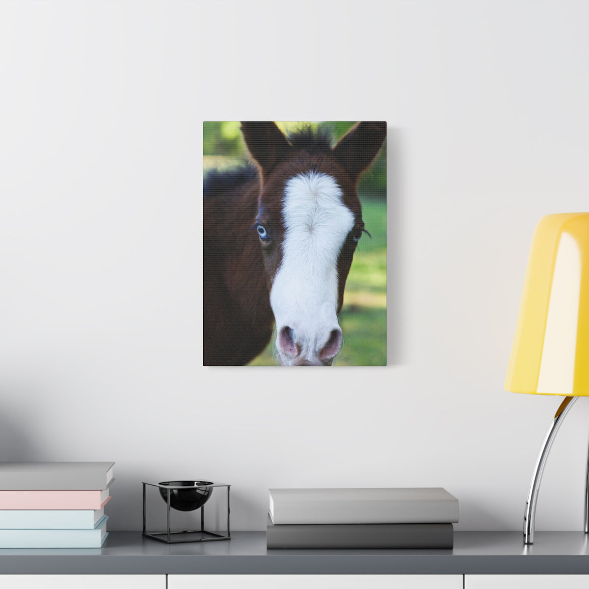 Foal Portrait Canvas Print