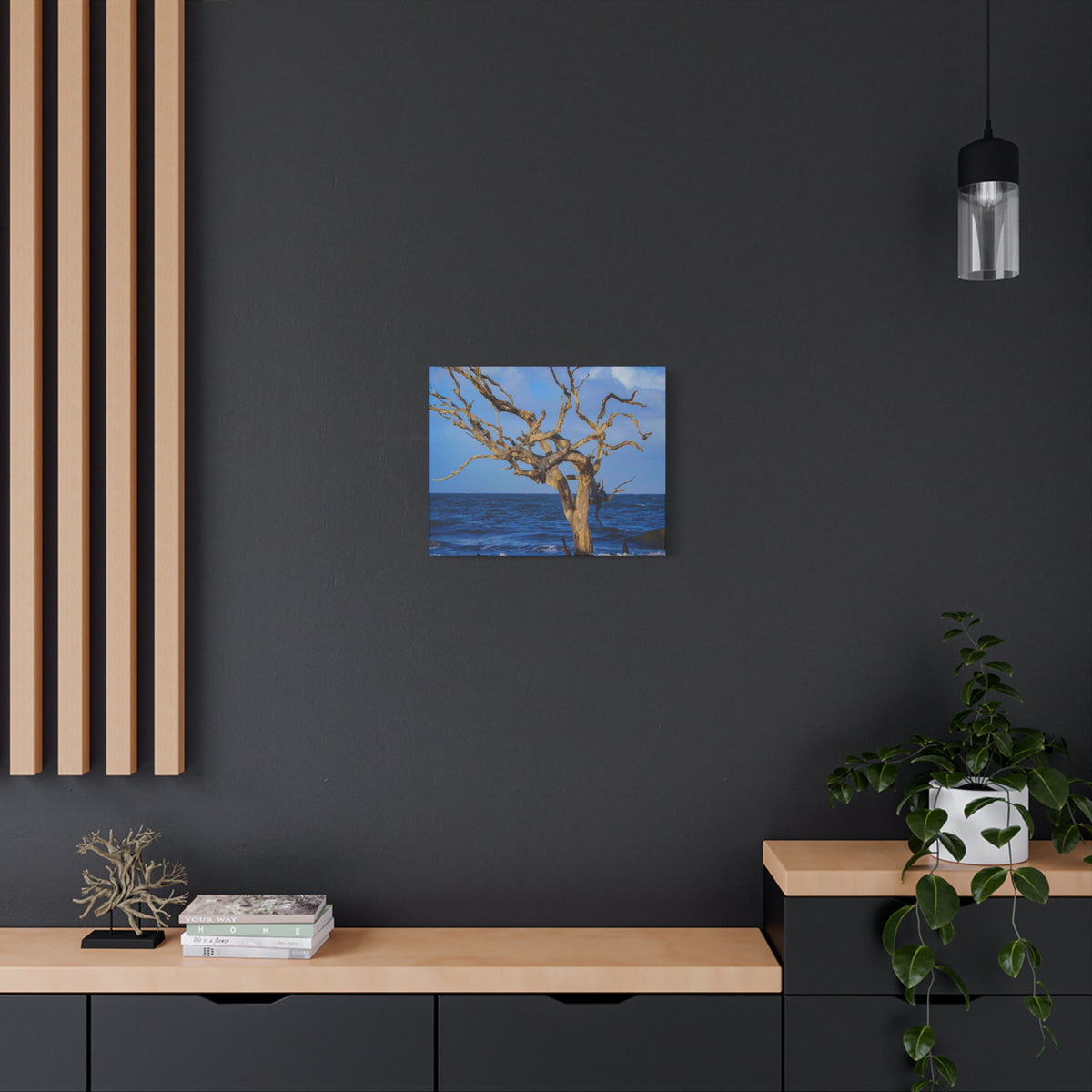 Driftwood Tree Beach Canvas Wall Art — Coastal Ocean Photography