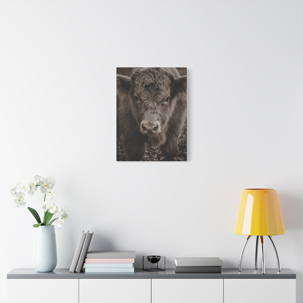 Rustic Highland Cow Portrait Canvas