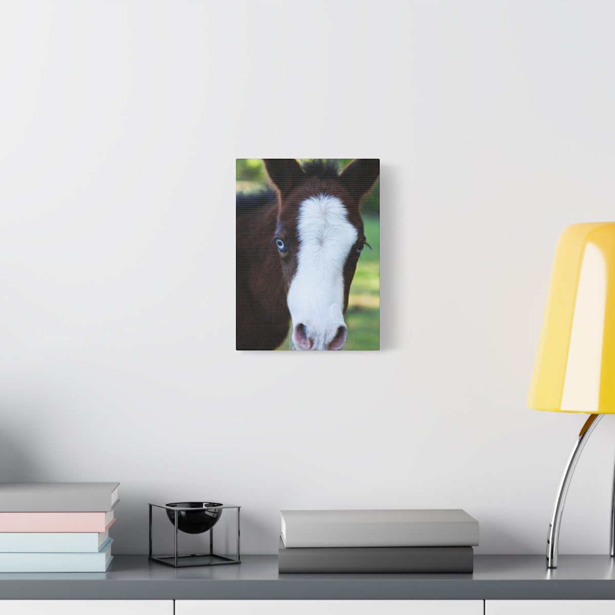 Foal Portrait Canvas Print