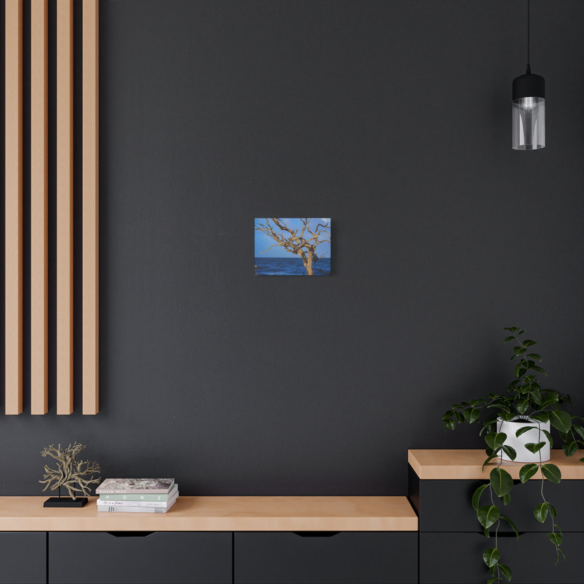 Driftwood Tree Beach Canvas Wall Art — Coastal Ocean Photography