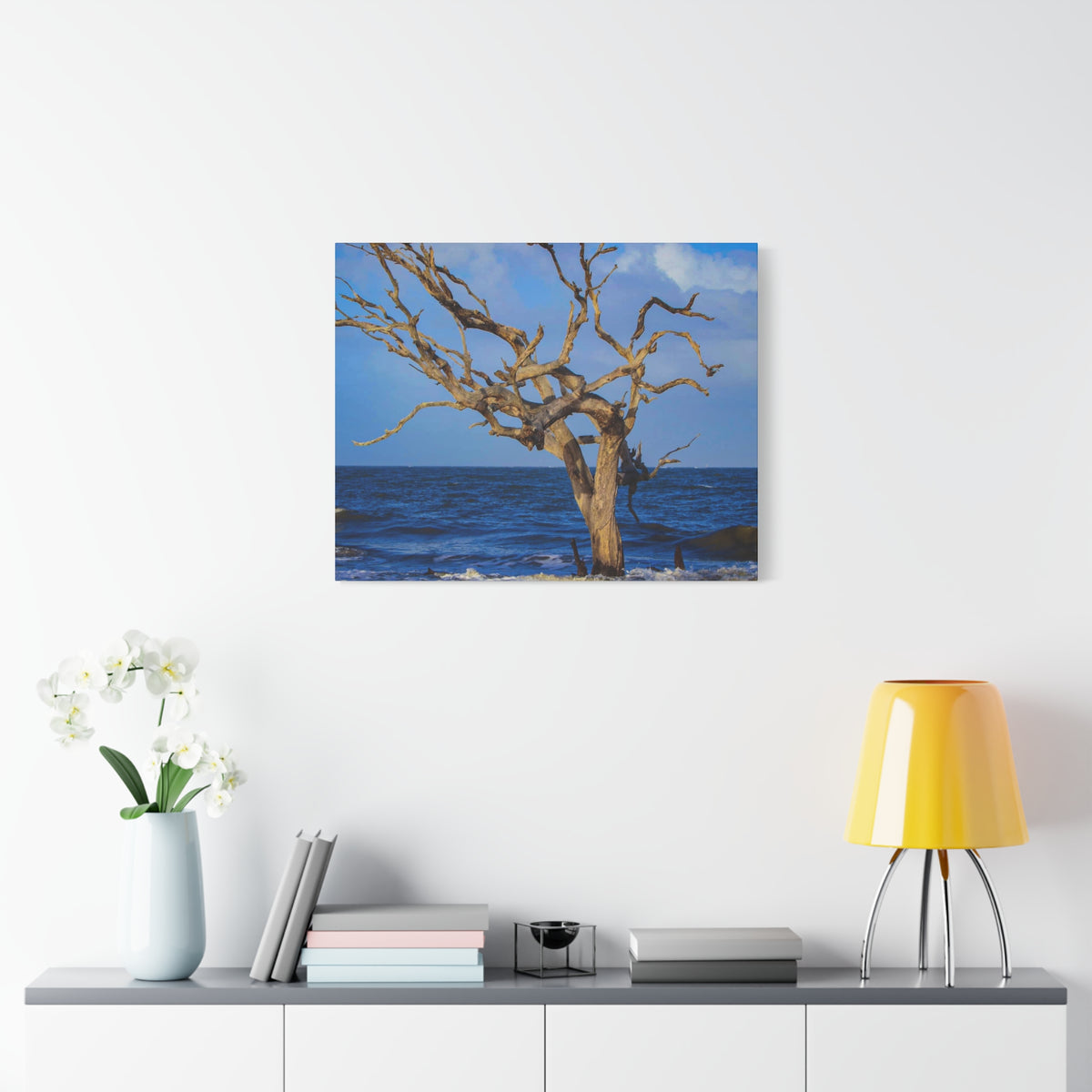 Driftwood Tree Beach Canvas Wall Art — Coastal Ocean Photography