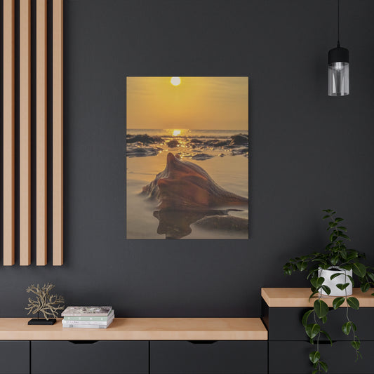 Seashell Sunset Matte Canvas Print — Stretched Wall Art