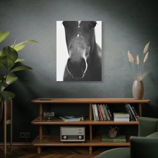 Black & White Horse Nose Matte Canvas Print — Stretched Wall Art for Equestrian Lovers