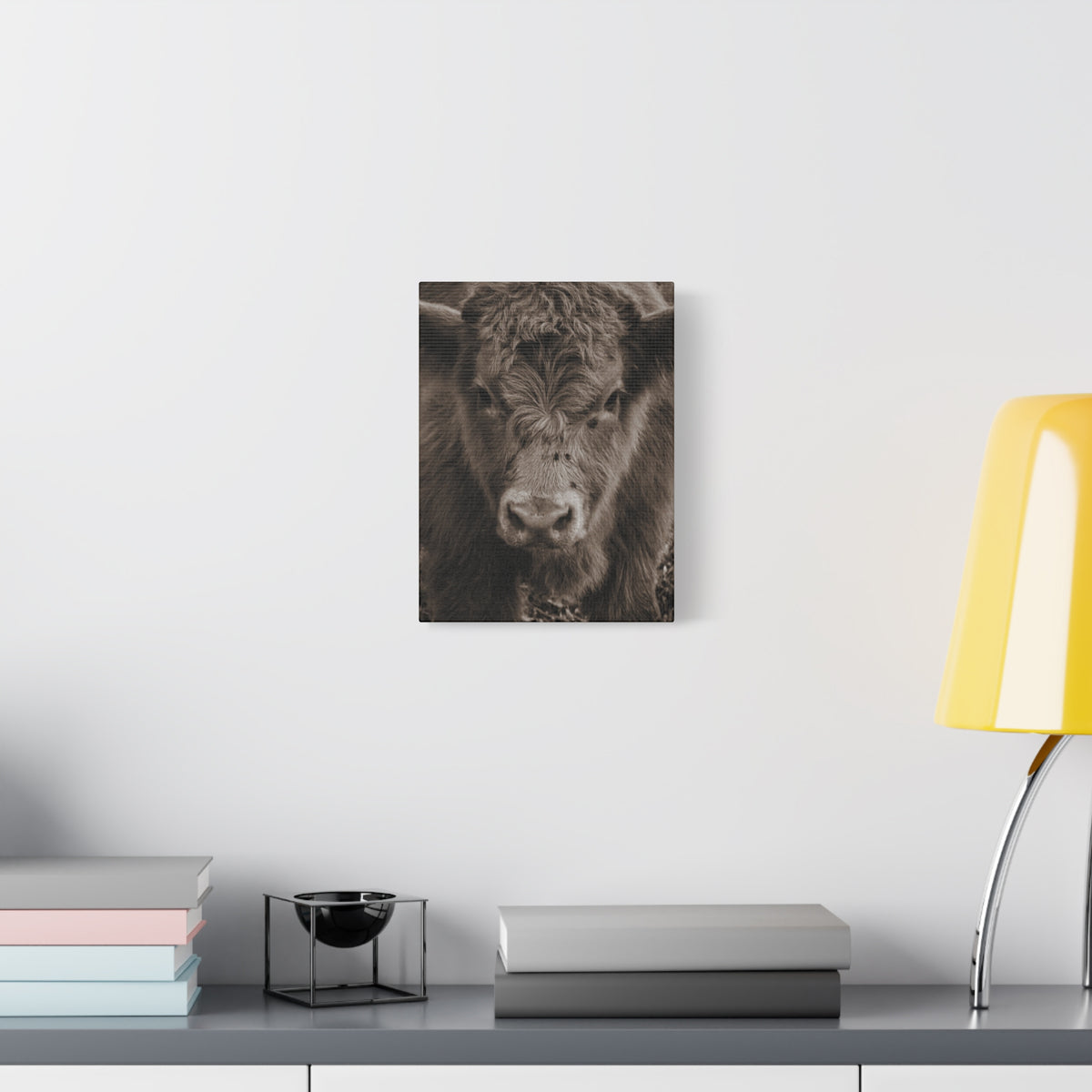 Rustic Highland Cow Portrait Canvas