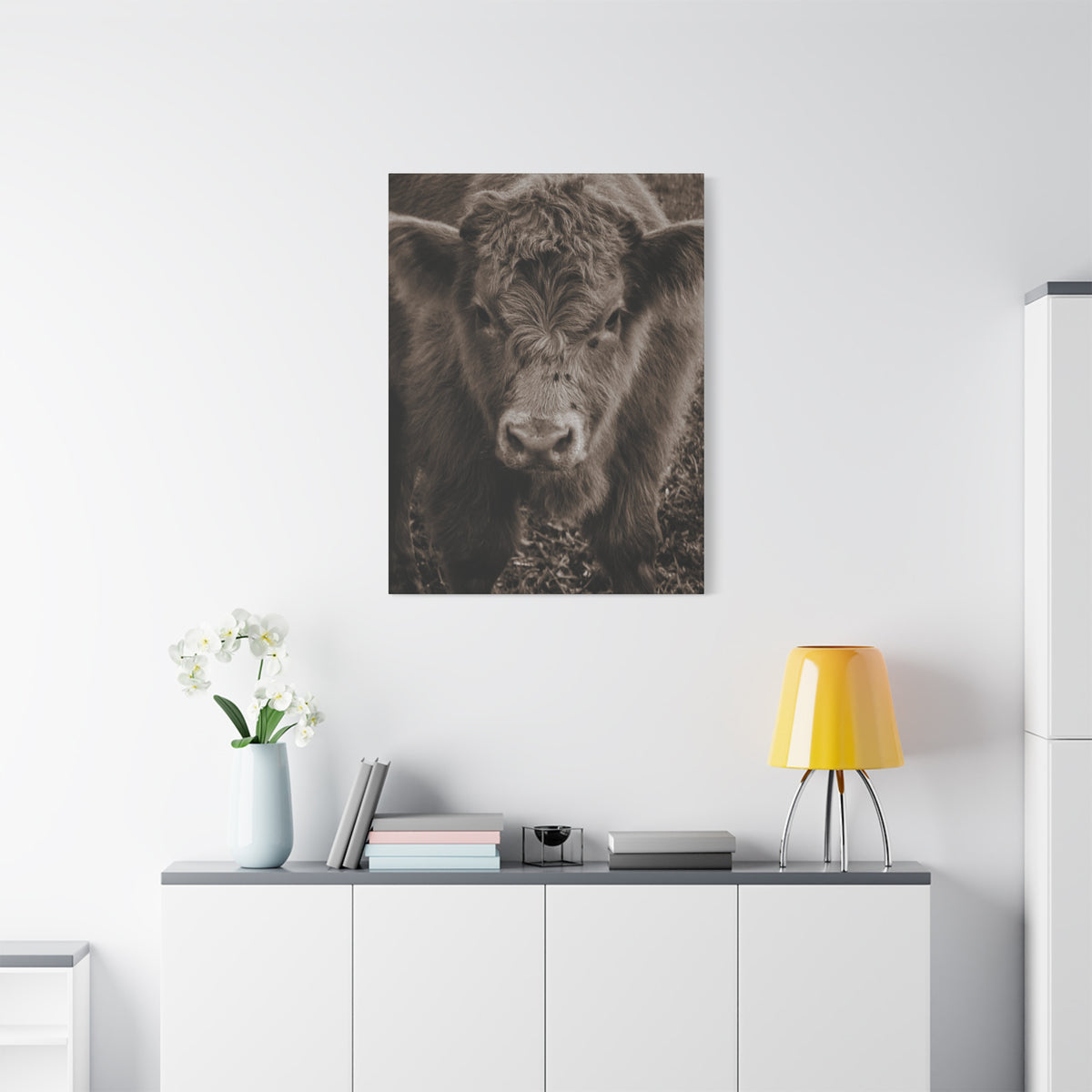 Rustic Highland Cow Portrait Canvas