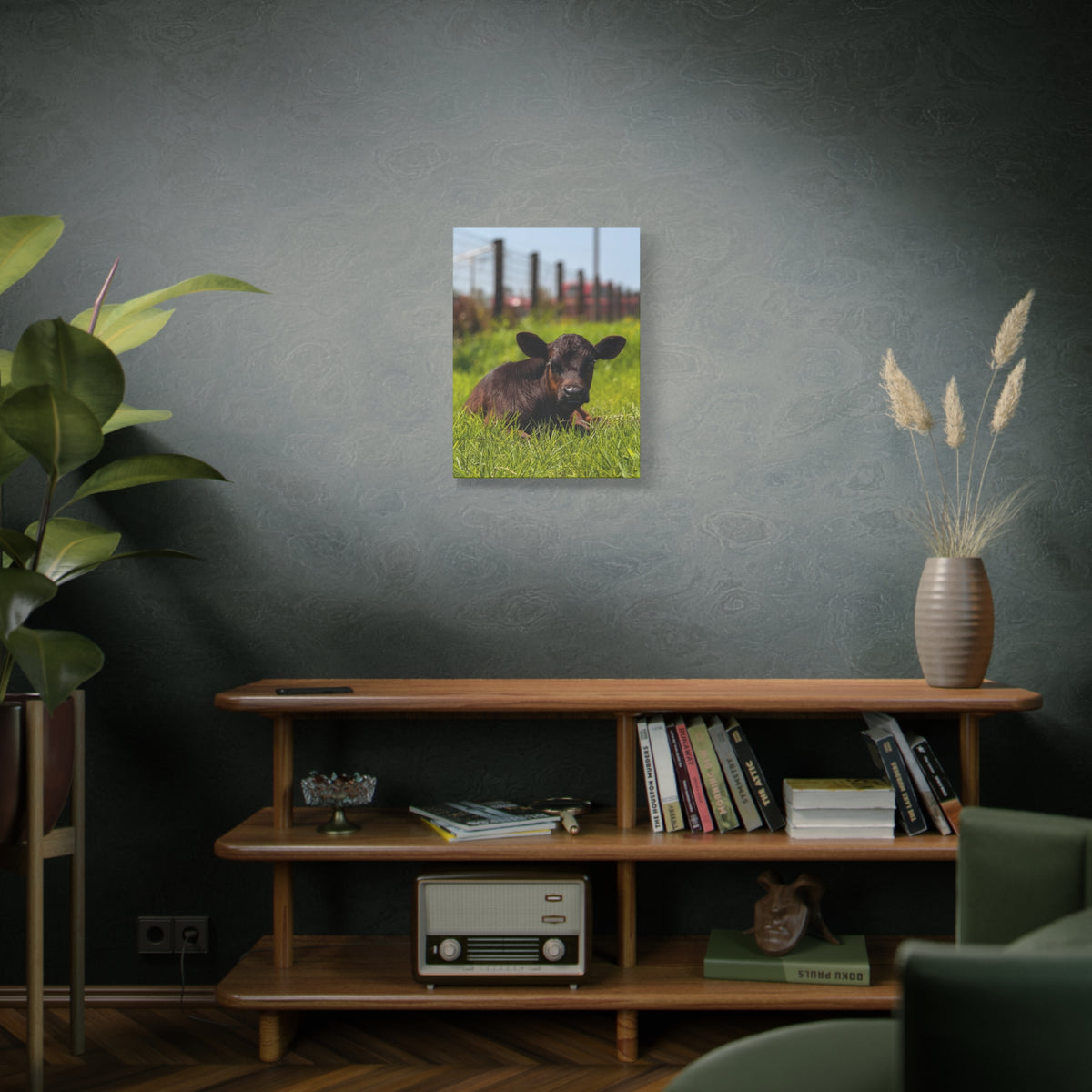 Calf Photography Canvas Print – Rustic Farm Animal Wall Art