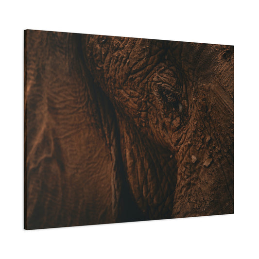 Elephant Skin Close-Up Matte Canvas Wall Art