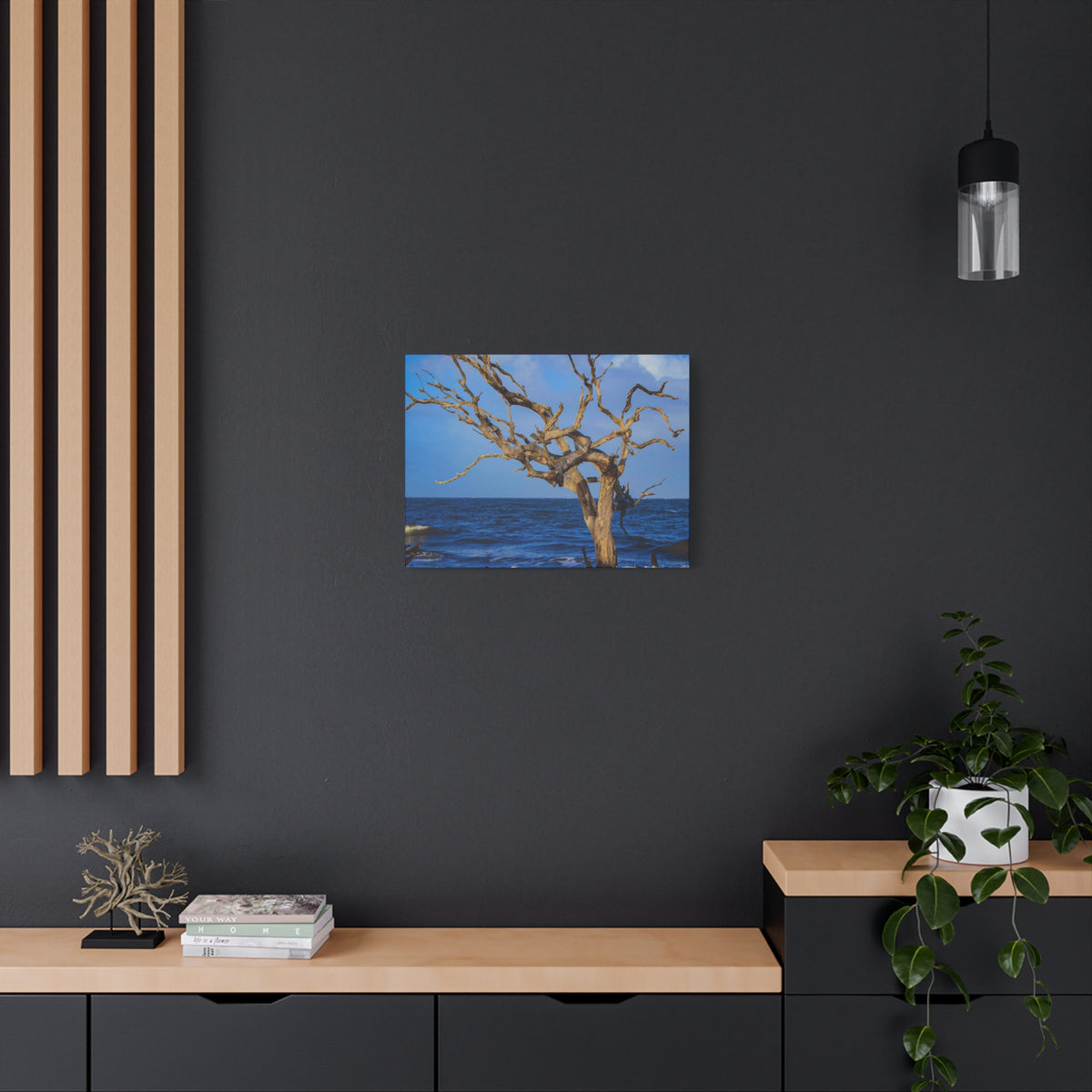 Driftwood Tree Beach Canvas Wall Art — Coastal Ocean Photography