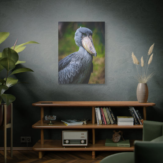 Shoebill Stork Canvas Print — Matte Stretched Bird Portrait