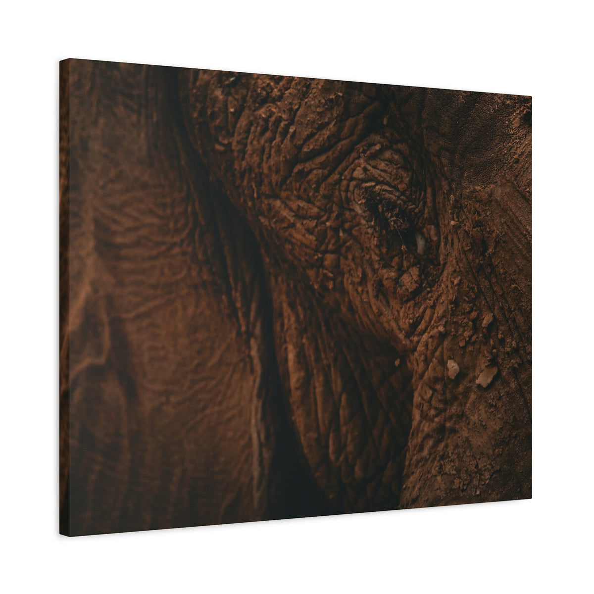 Elephant Skin Close-Up Matte Canvas Wall Art