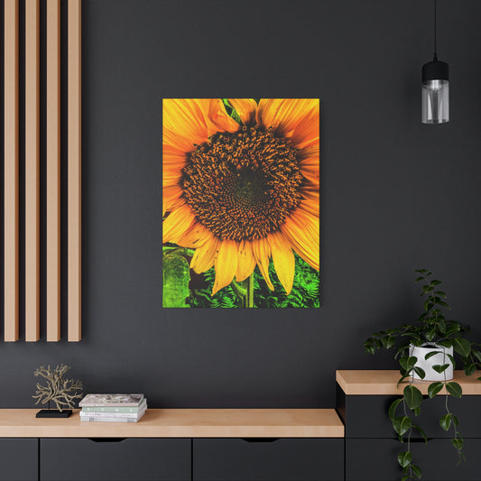 Sunflower Close-Up Canvas Print — Vibrant Floral Wall Art