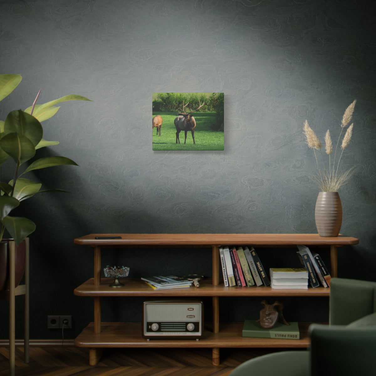 Elk in Meadow Canvas Wall Art — Stretched Matte Nature Print