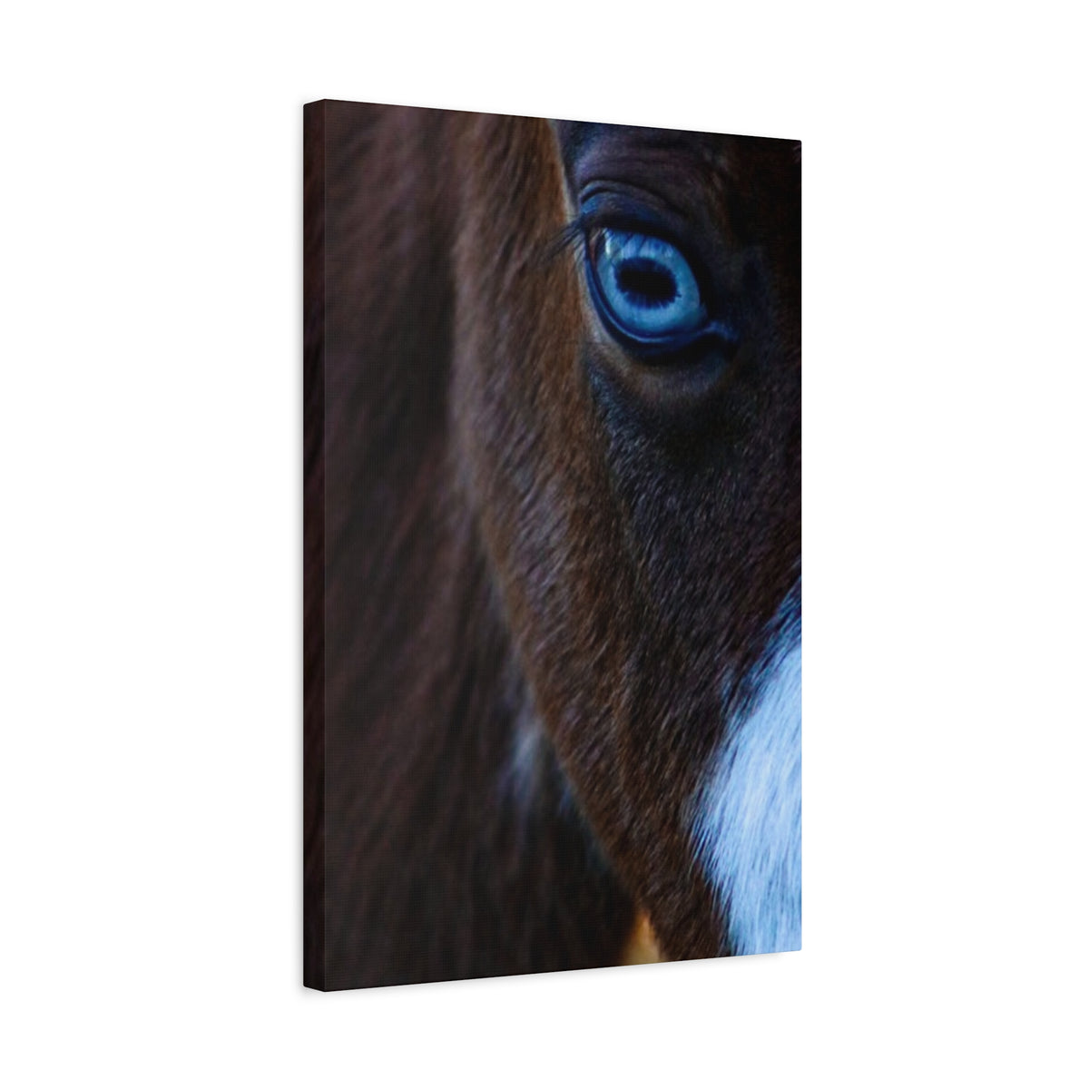 Blue-Eyed Horse Canvas Print — Close-Up Equine Wall Art, Matte Stretched 1.25"