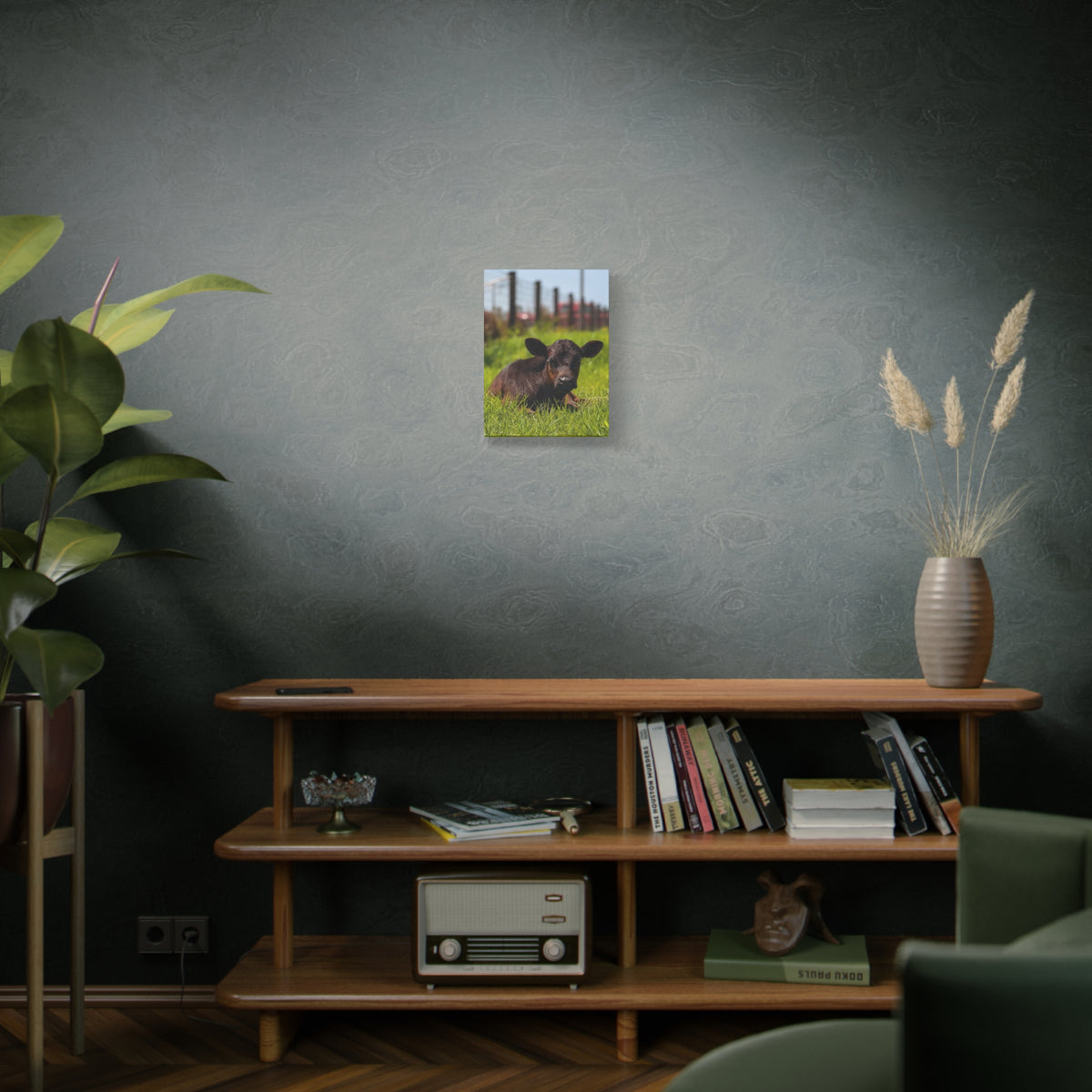 Calf Photography Canvas Print – Rustic Farm Animal Wall Art