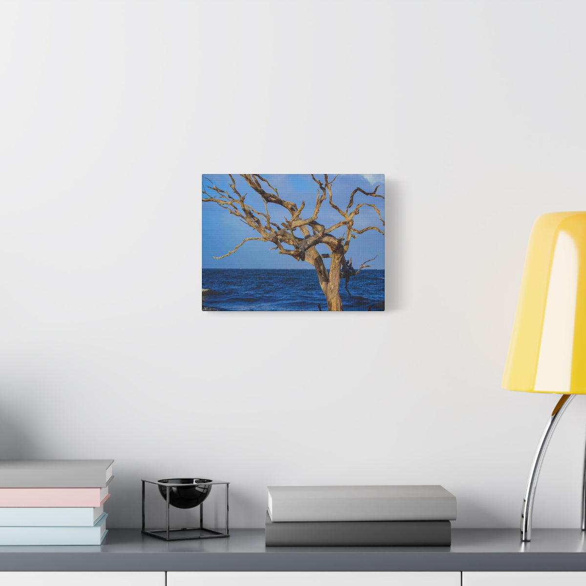 Driftwood Tree Beach Canvas Wall Art — Coastal Ocean Photography