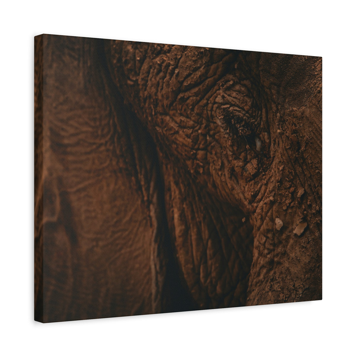 Elephant Skin Close-Up Matte Canvas Wall Art