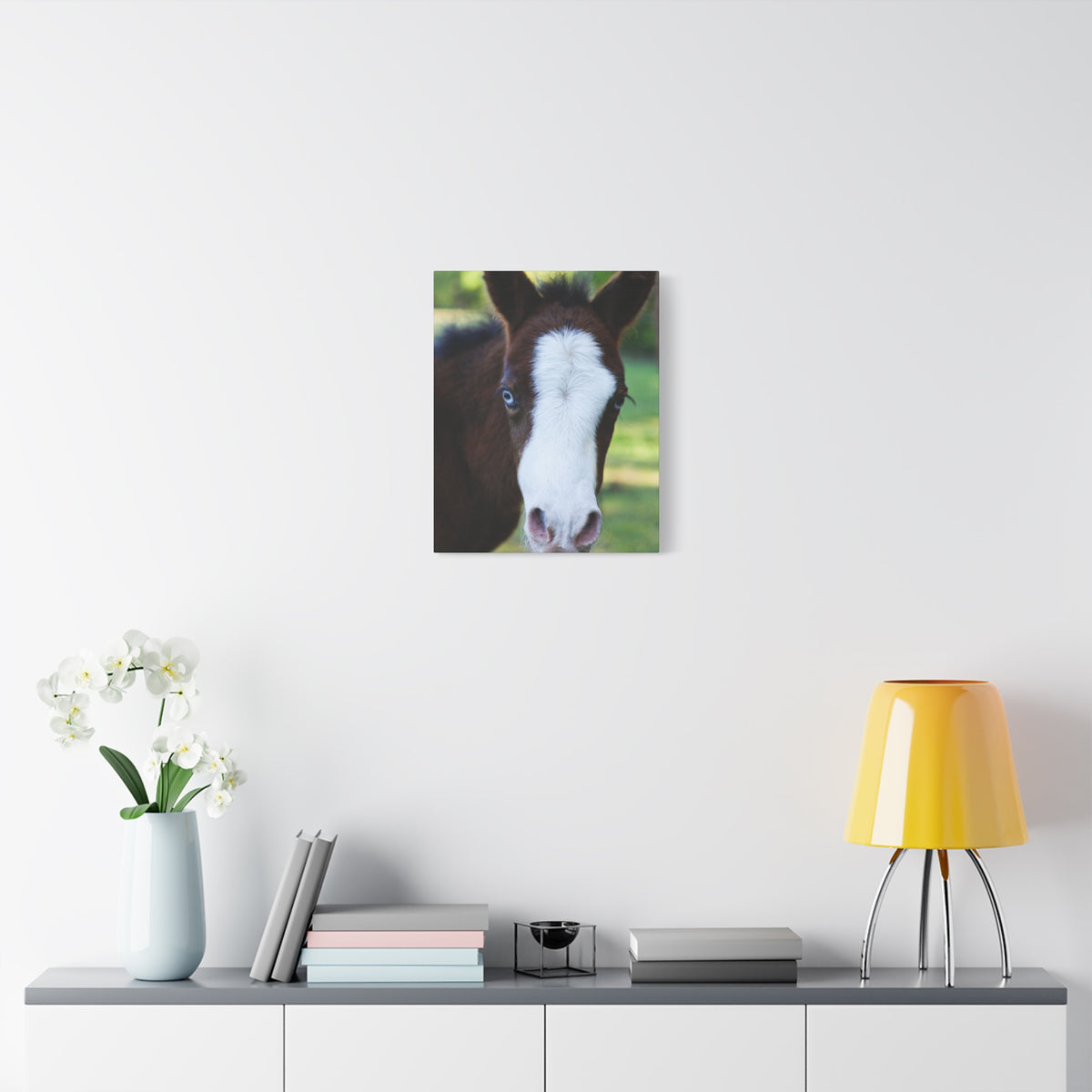 Foal Portrait Canvas Print