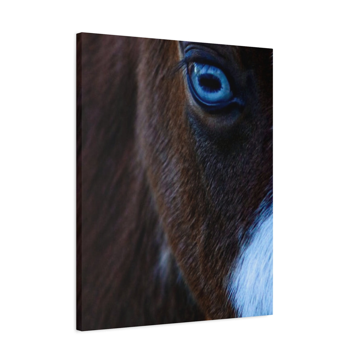 Blue-Eyed Horse Canvas Print — Close-Up Equine Wall Art, Matte Stretched 1.25"