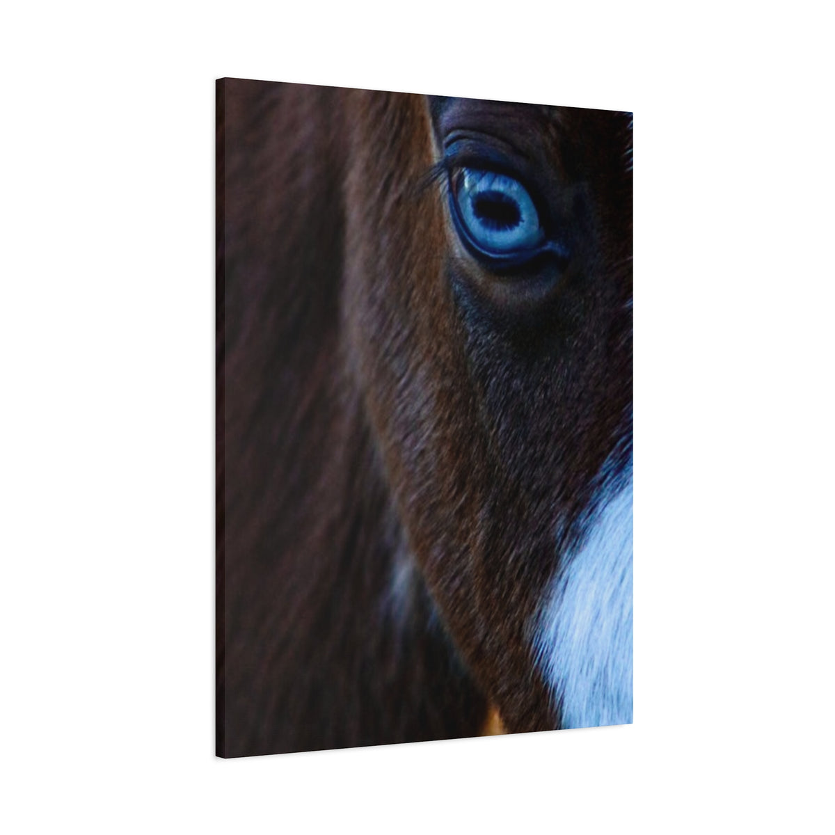 Blue-Eyed Horse Canvas Print — Close-Up Equine Wall Art, Matte Stretched 1.25"