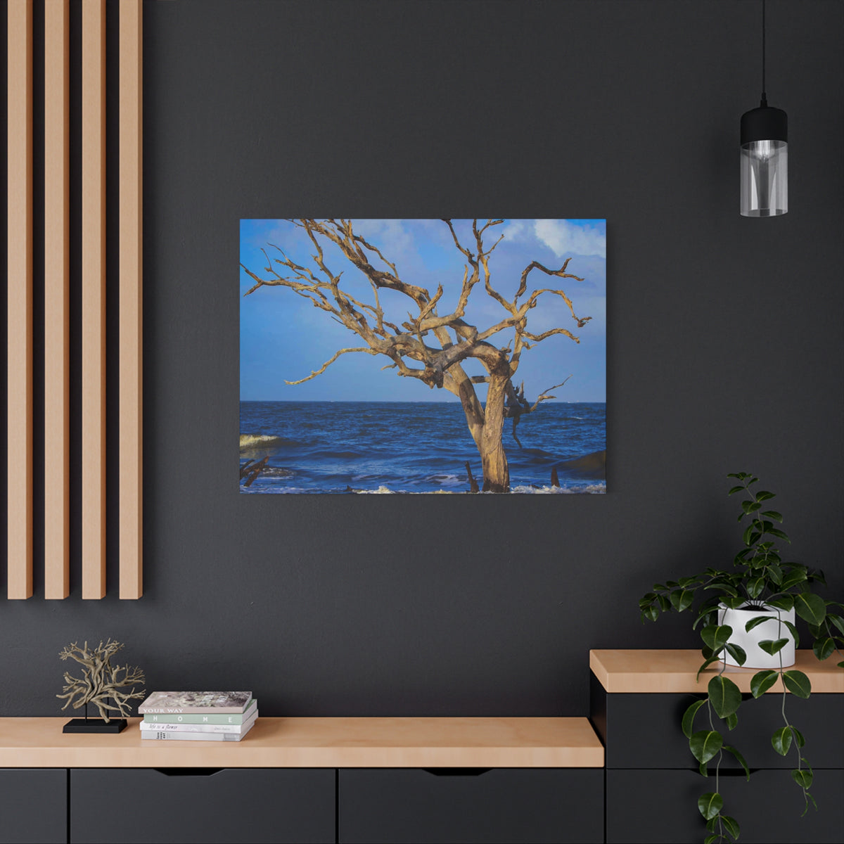 Driftwood Tree Beach Canvas Wall Art — Coastal Ocean Photography