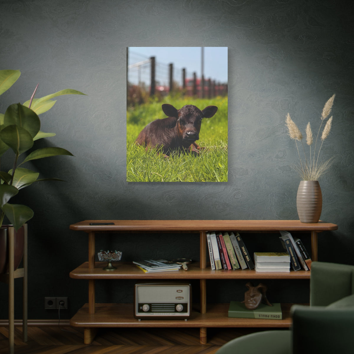 Calf Photography Canvas Print – Rustic Farm Animal Wall Art