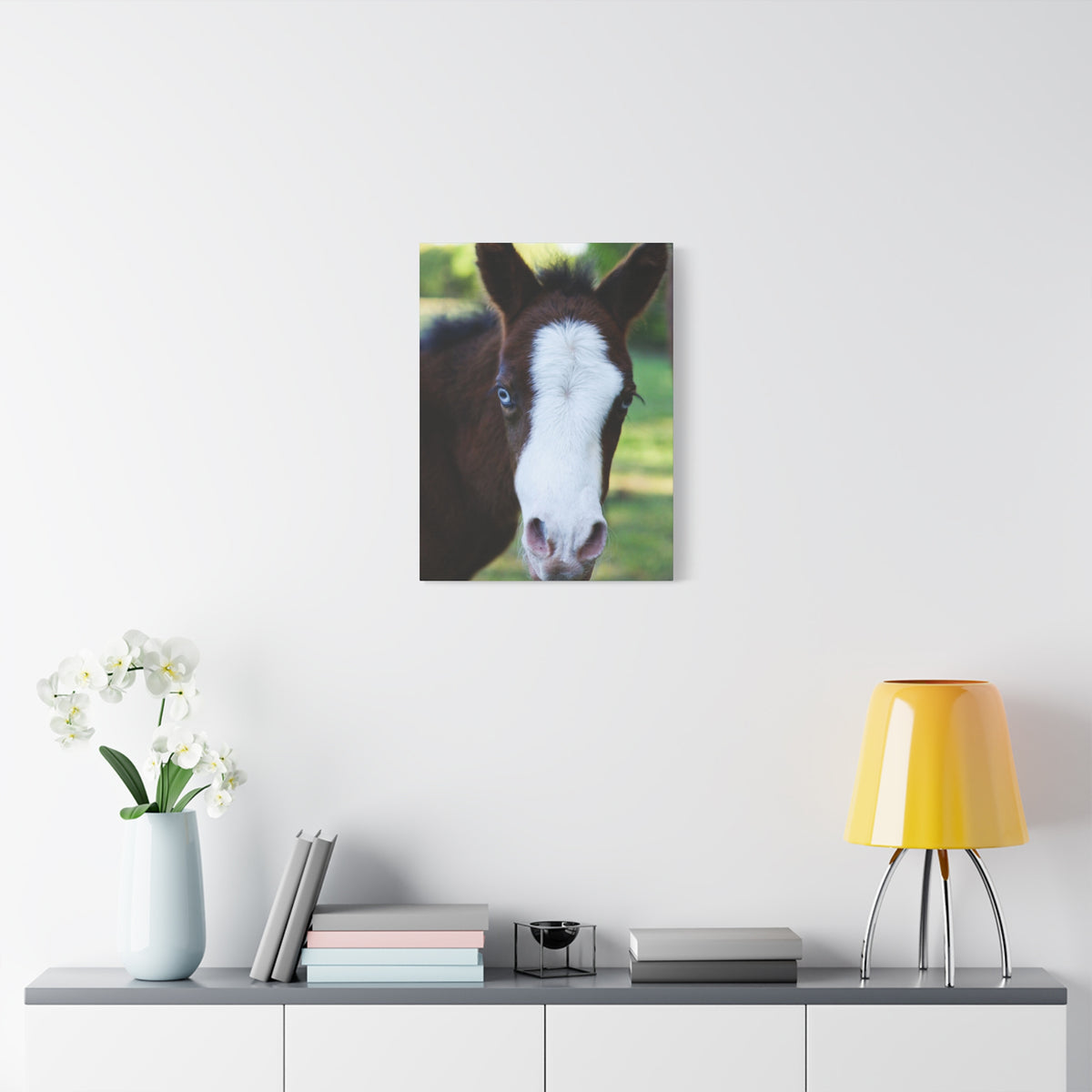 Foal Portrait Canvas Print