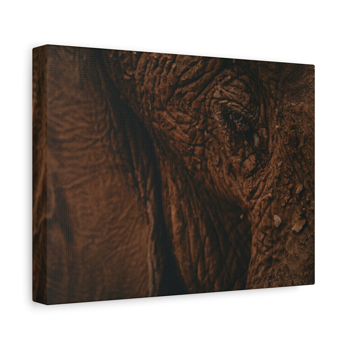 Elephant Skin Close-Up Matte Canvas Wall Art