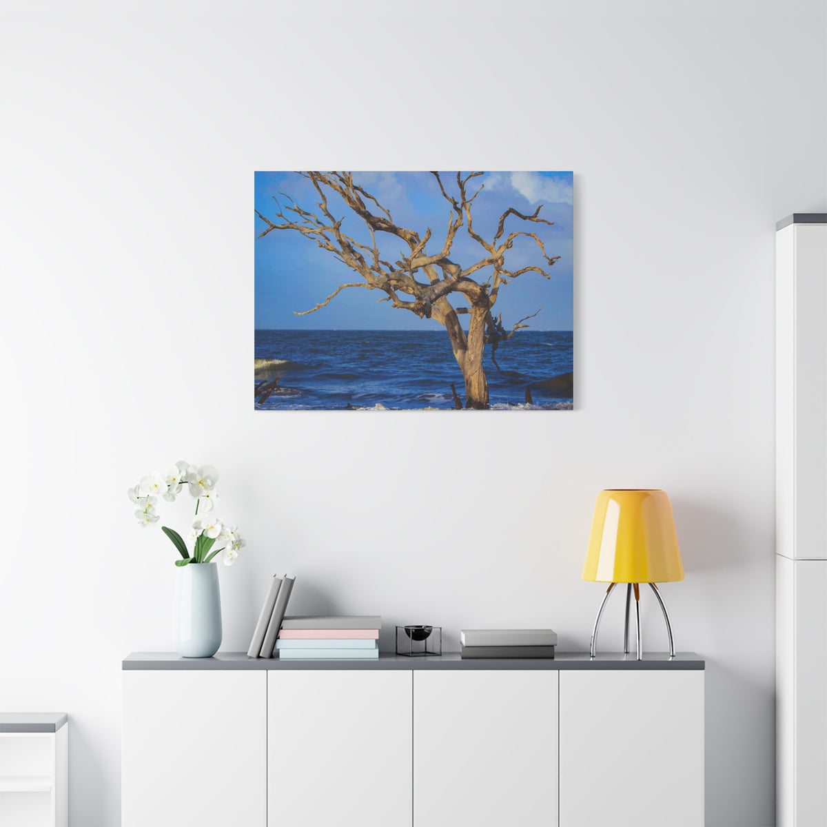 Driftwood Tree Beach Canvas Wall Art — Coastal Ocean Photography