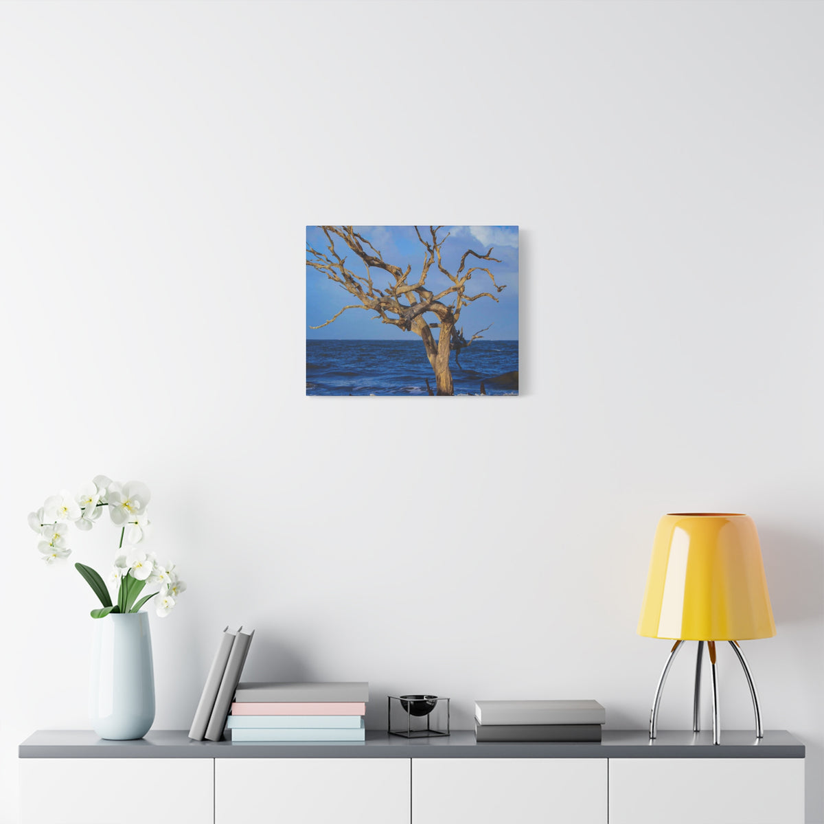 Driftwood Tree Beach Canvas Wall Art — Coastal Ocean Photography