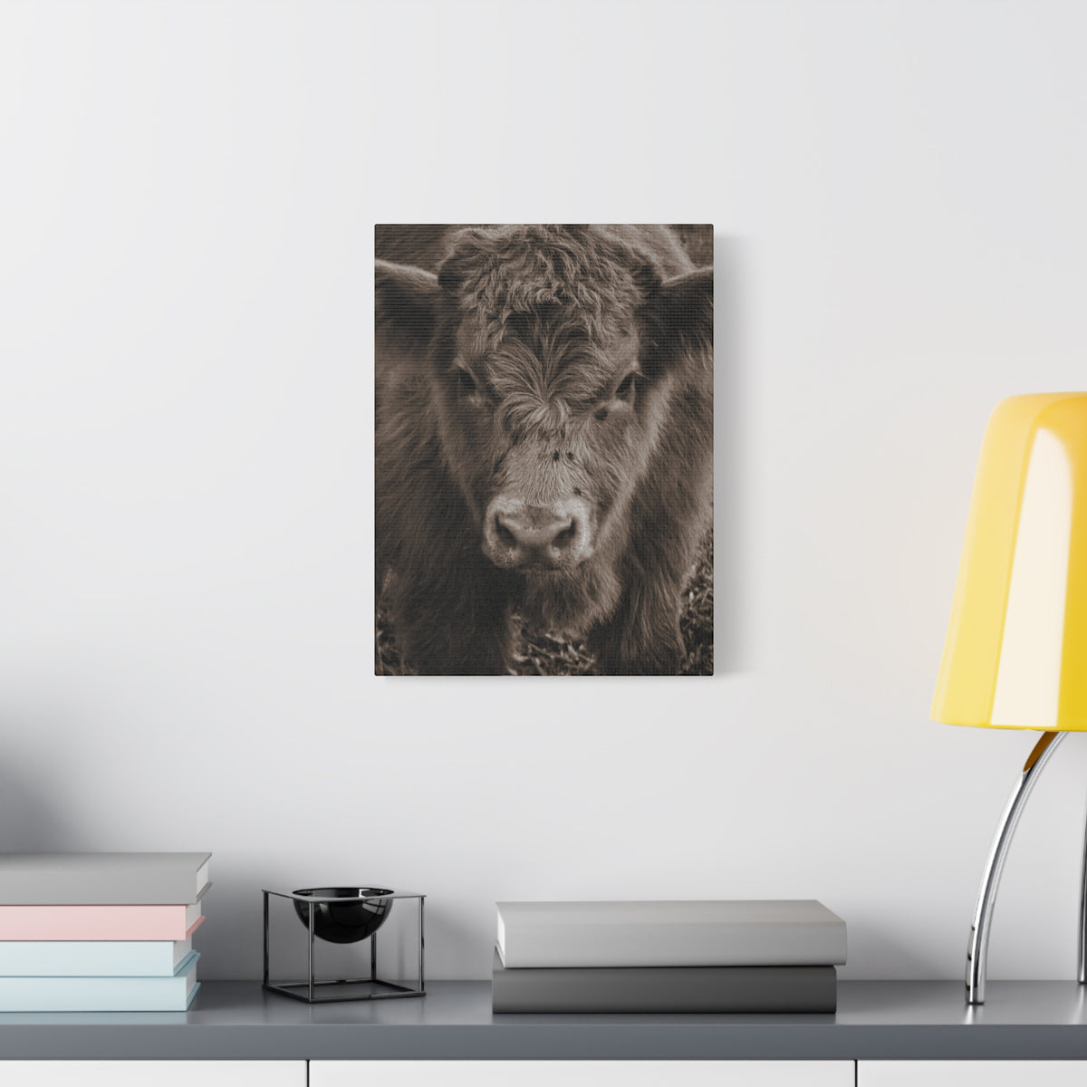 Rustic Highland Cow Portrait Canvas