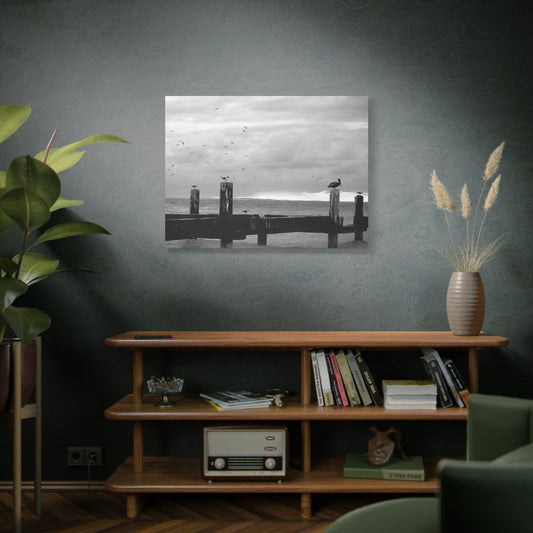 Seaside Pier Black & White Matte Canvas Print — Coastal Bird Photography Wall Art