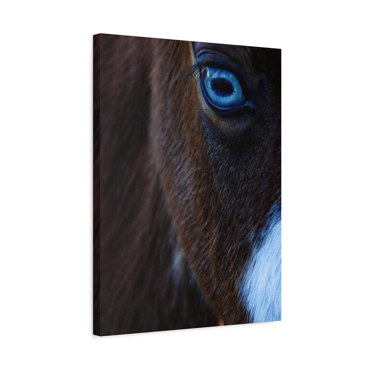 Blue-Eyed Horse Canvas Print — Close-Up Equine Wall Art, Matte Stretched 1.25"