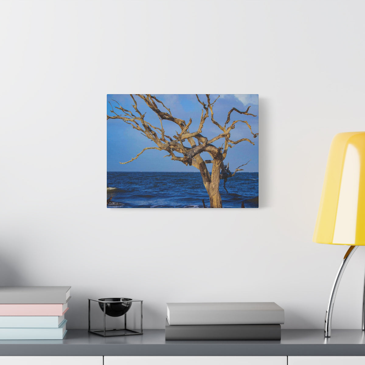 Driftwood Tree Beach Canvas Wall Art — Coastal Ocean Photography