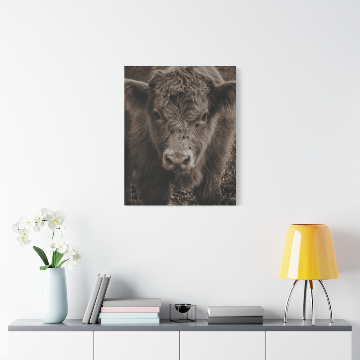 Rustic Highland Cow Portrait Canvas