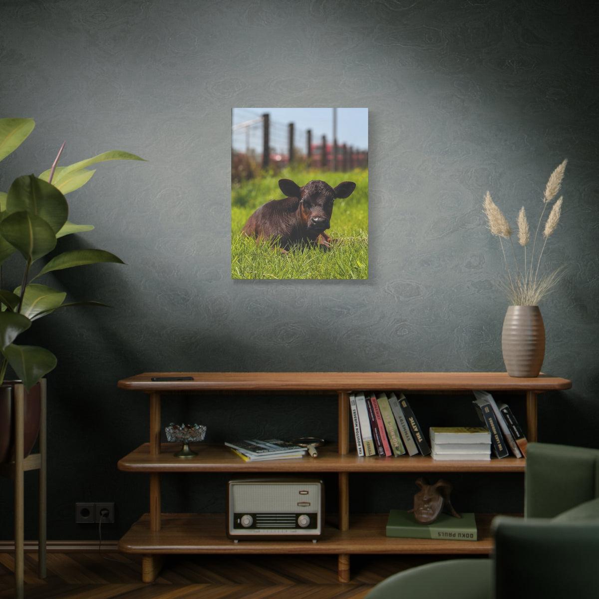 Calf Photography Canvas Print – Rustic Farm Animal Wall Art