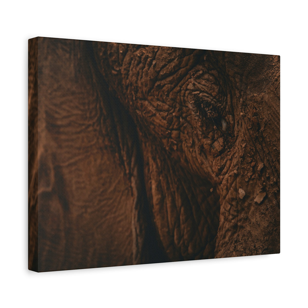 Elephant Skin Close-Up Matte Canvas Wall Art
