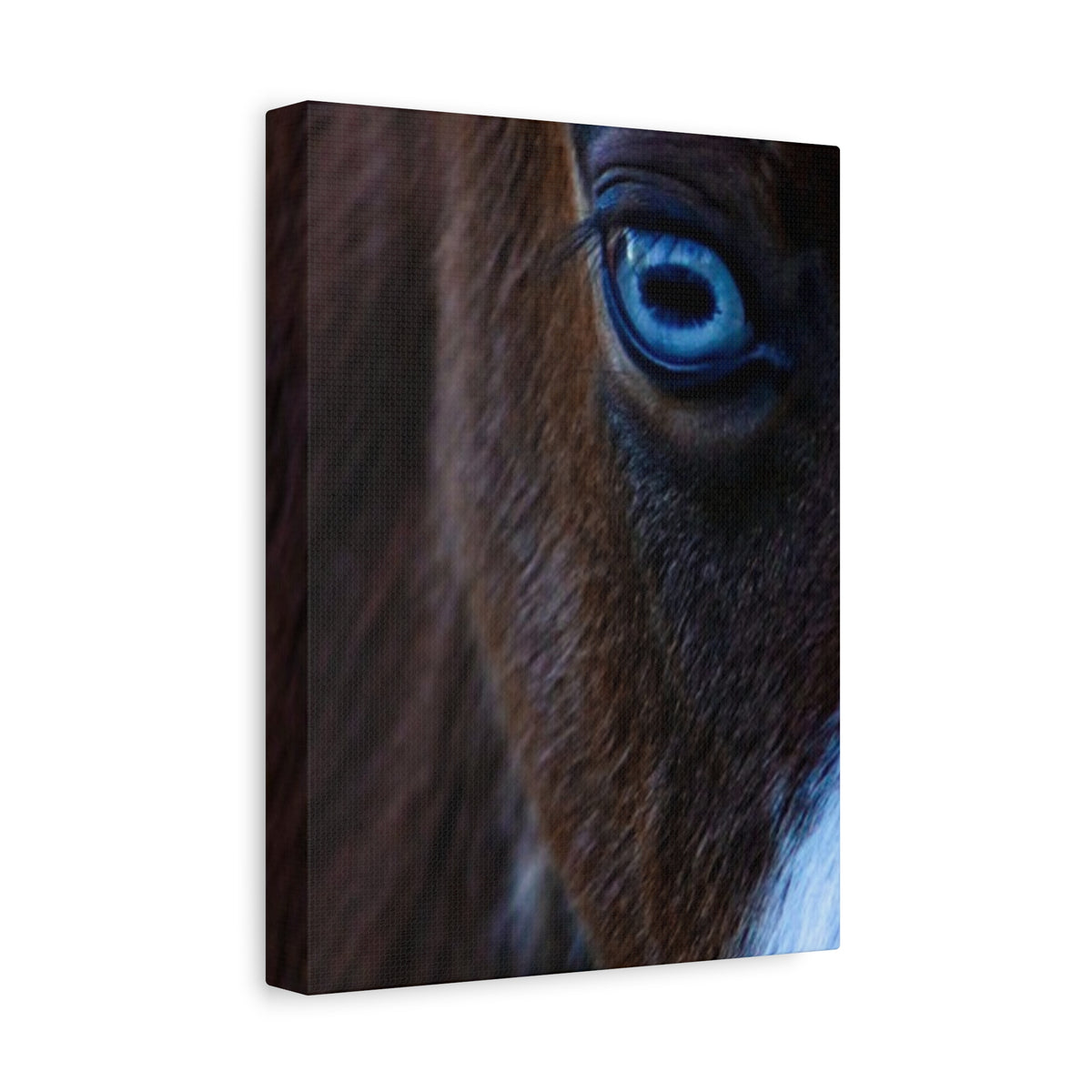 Blue-Eyed Horse Canvas Print — Close-Up Equine Wall Art, Matte Stretched 1.25"
