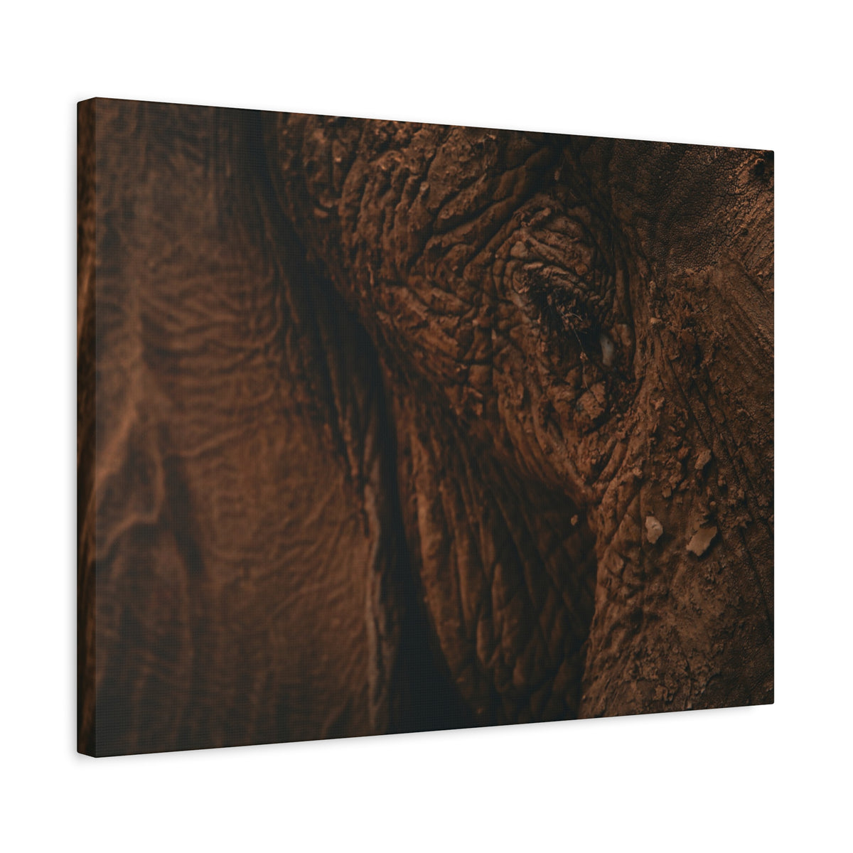 Elephant Skin Close-Up Matte Canvas Wall Art