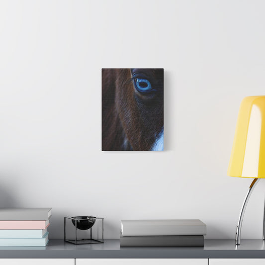 Blue-Eyed Horse Canvas Print — Close-Up Equine Wall Art, Matte Stretched 1.25"