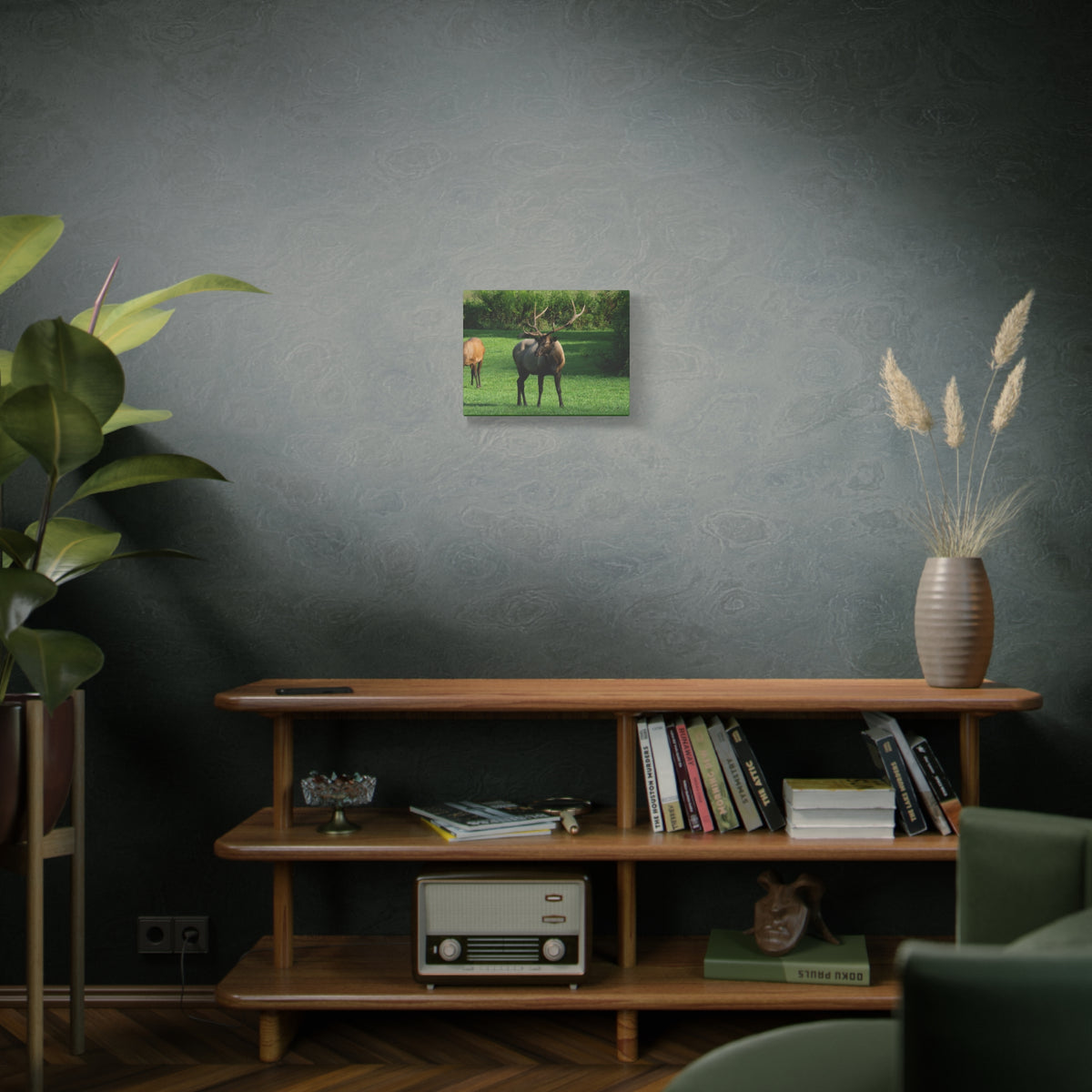 Elk in Meadow Canvas Wall Art — Stretched Matte Nature Print