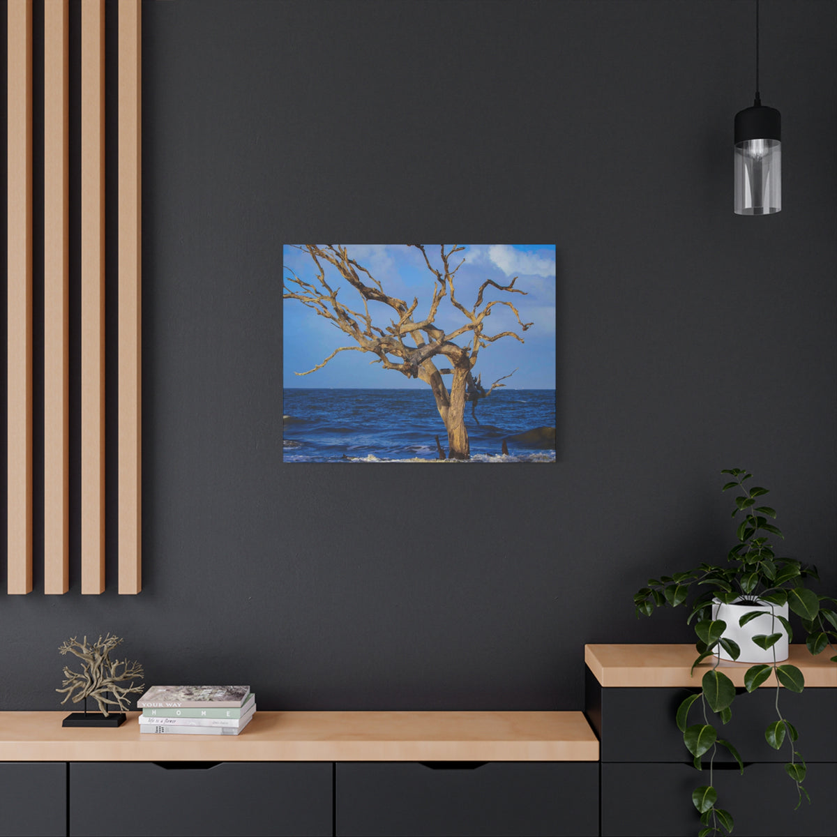 Driftwood Tree Beach Canvas Wall Art — Coastal Ocean Photography